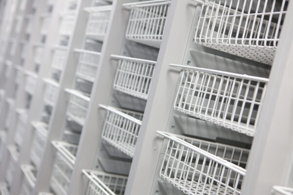 100mm Nylon Coated Wire Basket - Image 2